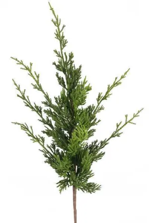20.5" Arborvitae Spray
