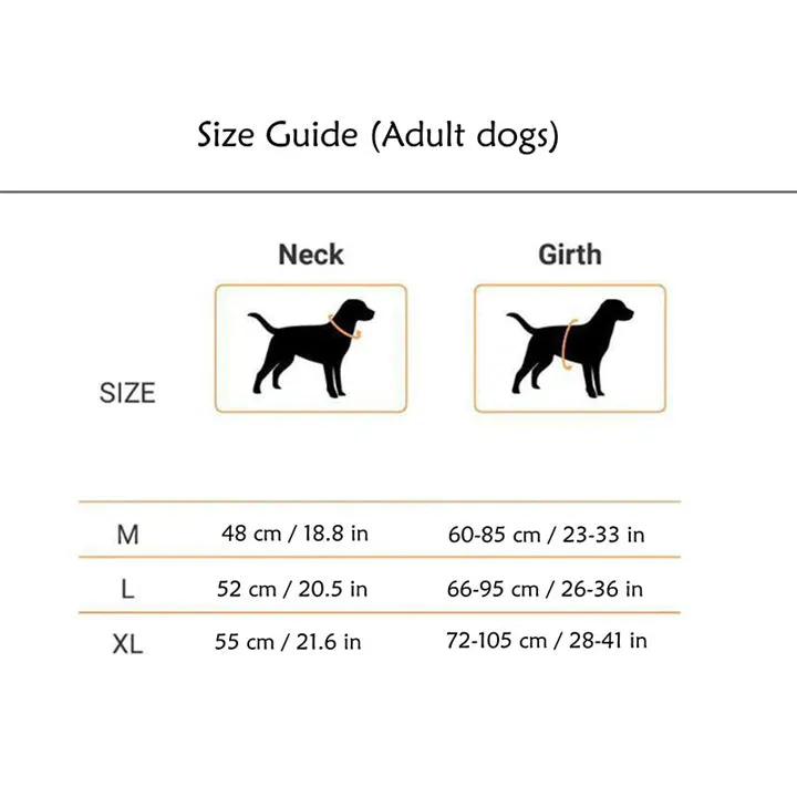 A A Pets' Air Mesh Quick Dry Vest Style Harness for Dog