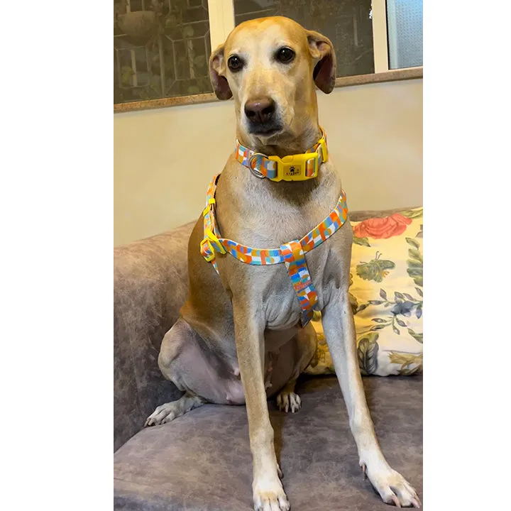 A a Pets' Step-in Harness for Dogs & Cats Tetris Design