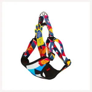A a Pets' Vest Style Harness for Dogs & Cats Rainbow Colours