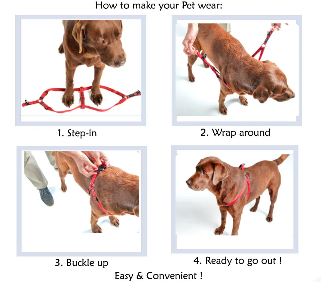 A a Pets' Vest Style Harness for Dogs & Cats Rainbow Colours