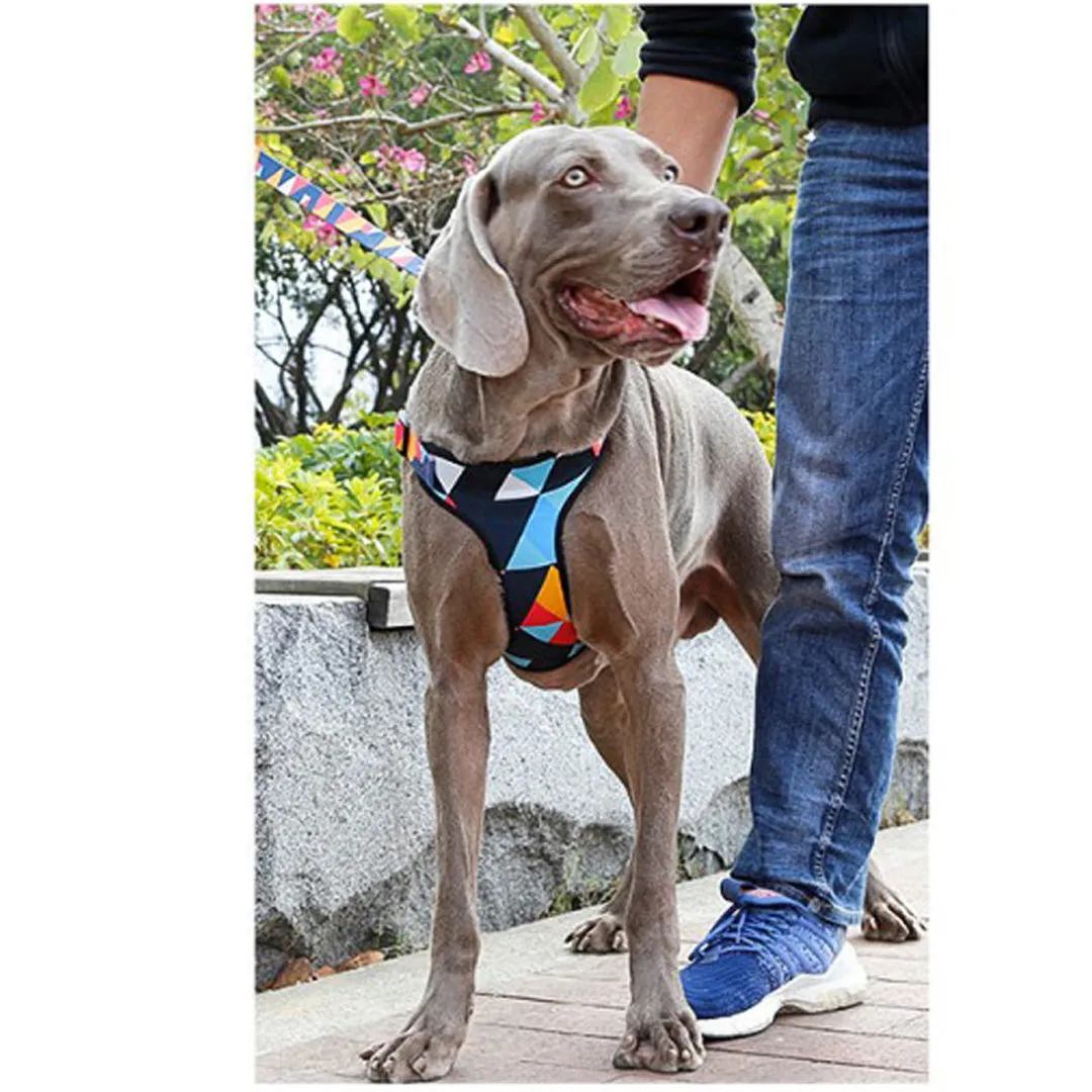 A a Pets' Vest Style Harness for Dogs & Cats Rainbow Colours