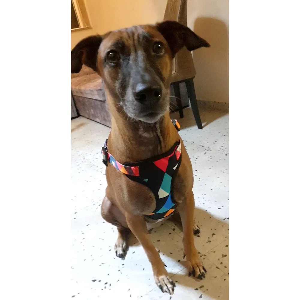 A a Pets' Vest Style Harness for Dogs & Cats Rainbow Colours