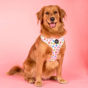 Adjustable Harness | Posy