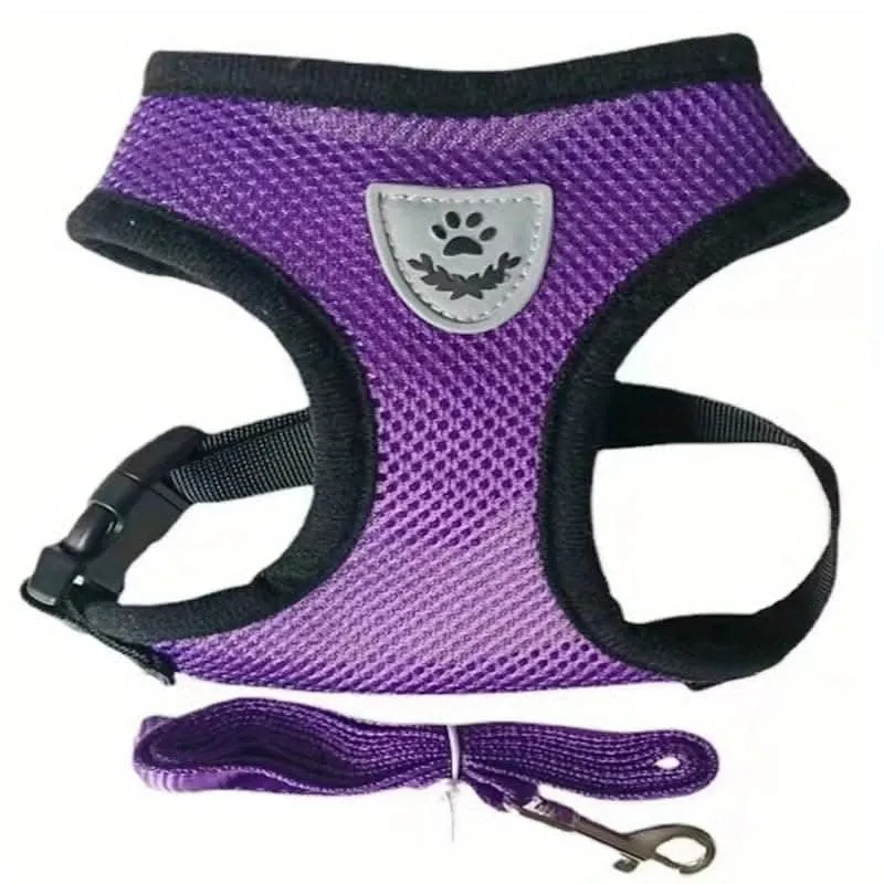 Adjustable Mesh Dog Harness & Leash Set
