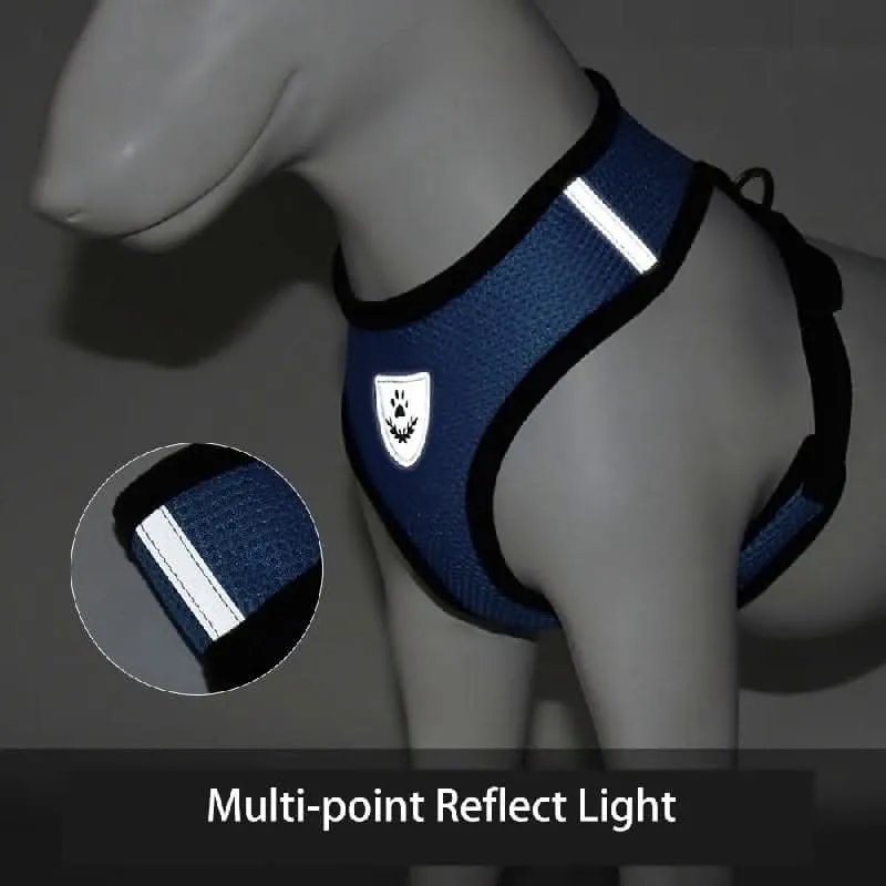 Adjustable Mesh Dog Harness & Leash Set