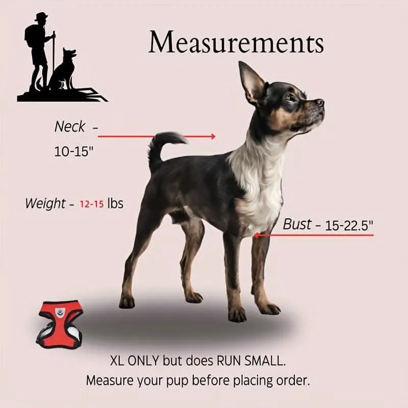 Adjustable Mesh Dog Harness & Leash Set