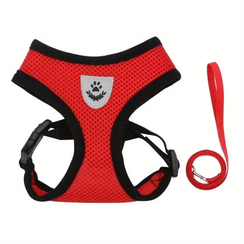 Adjustable Mesh Dog Harness & Leash Set