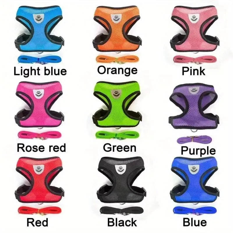 Adjustable Mesh Dog Harness & Leash Set