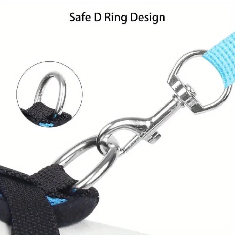 Adjustable Mesh Dog Harness & Leash Set