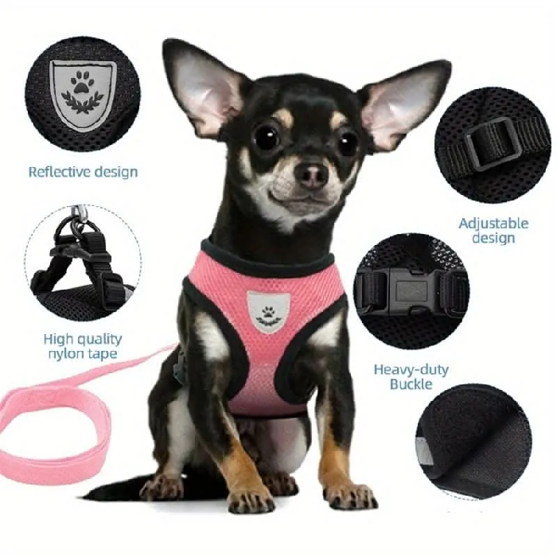 Adjustable Mesh Dog Harness & Leash Set