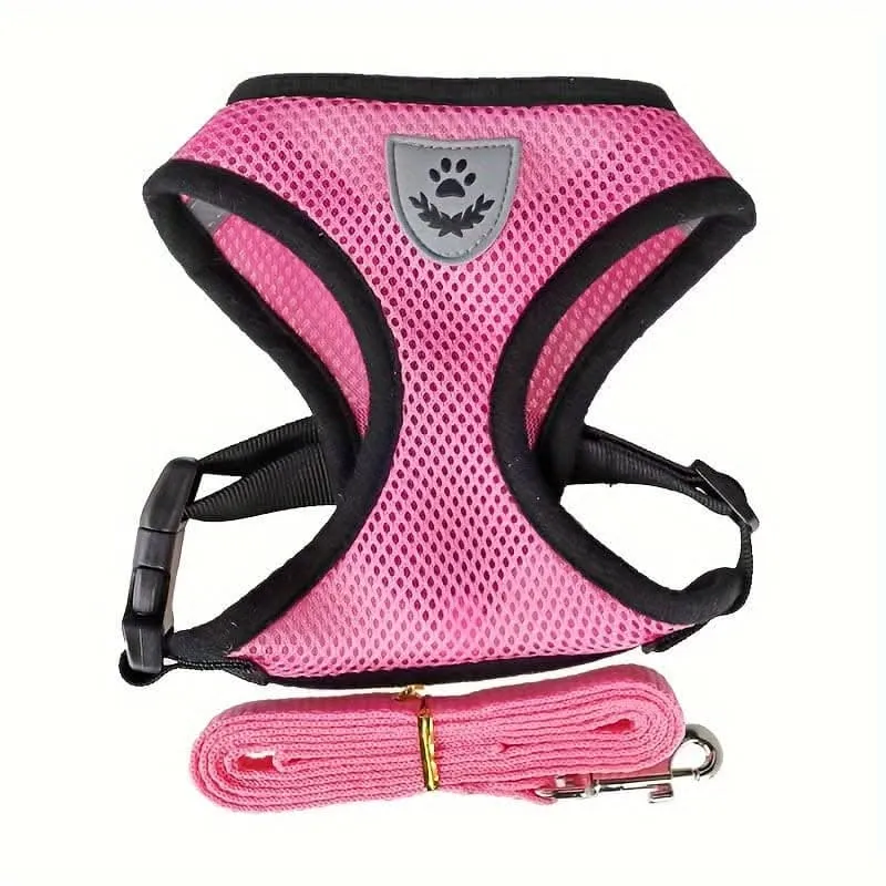 Adjustable Mesh Dog Harness & Leash Set
