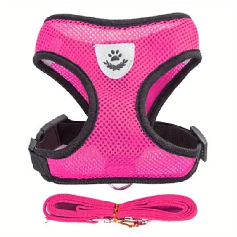 Adjustable Mesh Dog Harness & Leash Set