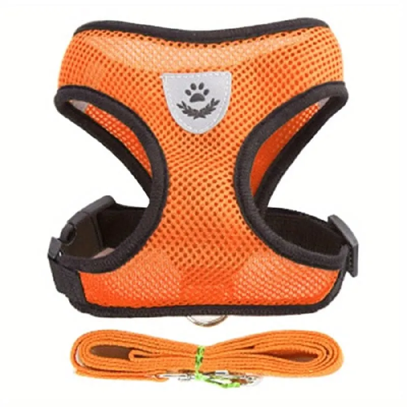 Adjustable Mesh Dog Harness & Leash Set