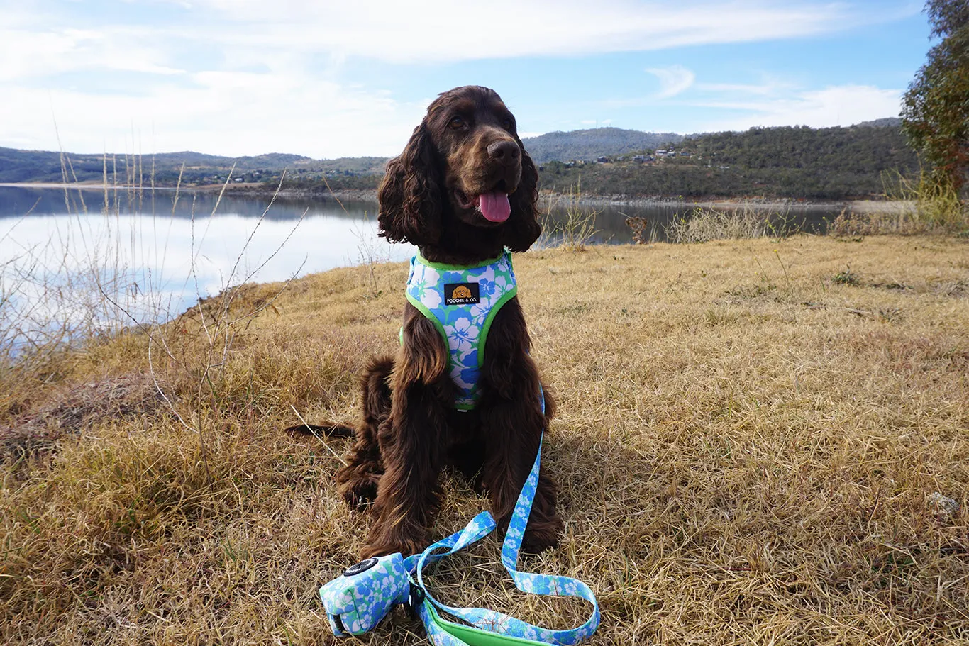 'Aloha' Adjustable Harness