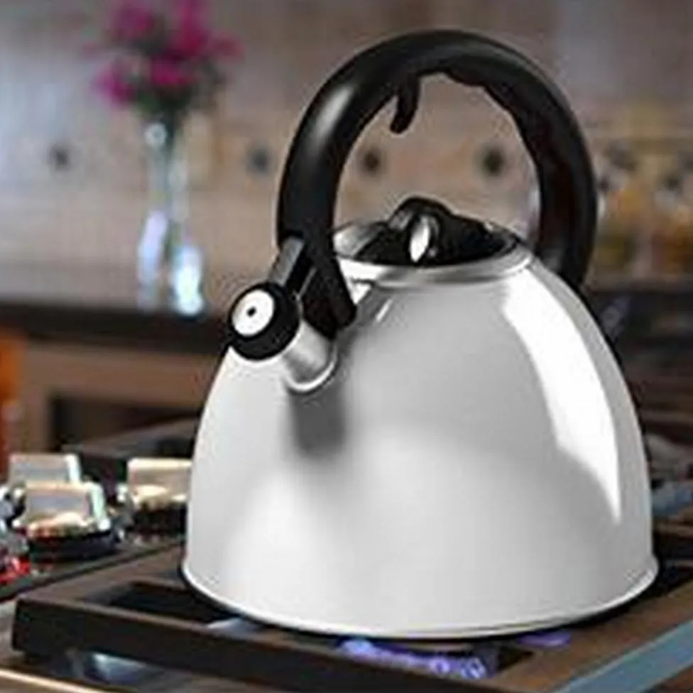 Artistic flair Tea Whistling Kettle Vremi Big-value deals 2 Quart