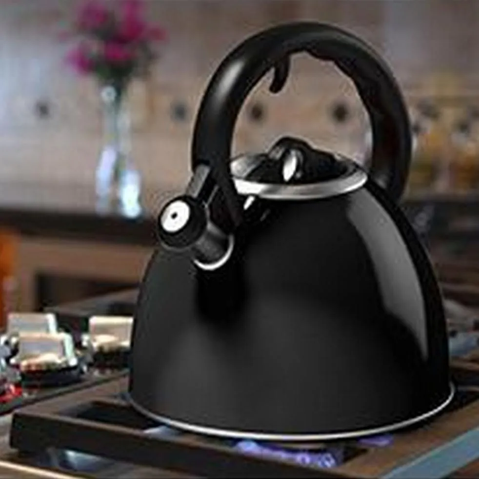 Artistic flair Tea Whistling Kettle Vremi Big-value deals 2 Quart