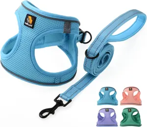 BELLA & PAL Puppy Harness with Leash Set, Step in Harness for Small Dogs, Dog Air Mesh Dog Vest Harness with Reflective Strip, No Pull No-Chock Harness for XXS, XS, Small, Medium Dog Cat (Sky Blue,M)