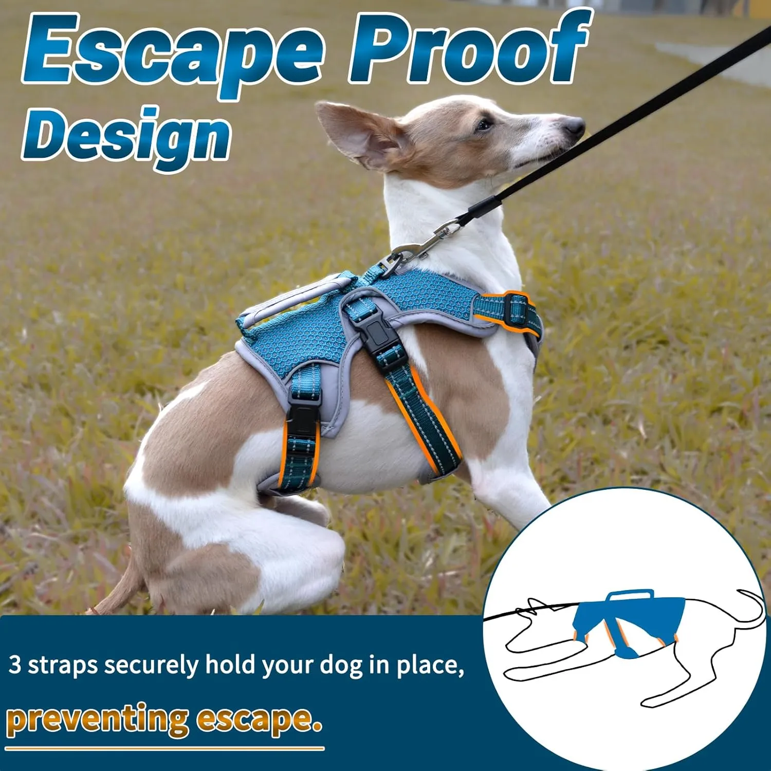 BELPRO Multi-Use Support Dog Harness, Escape Proof No Pull Reflective Adjustable Vest with Durable Handle, Dog Walking Harness for Big/Active Dogs (Blue, S)