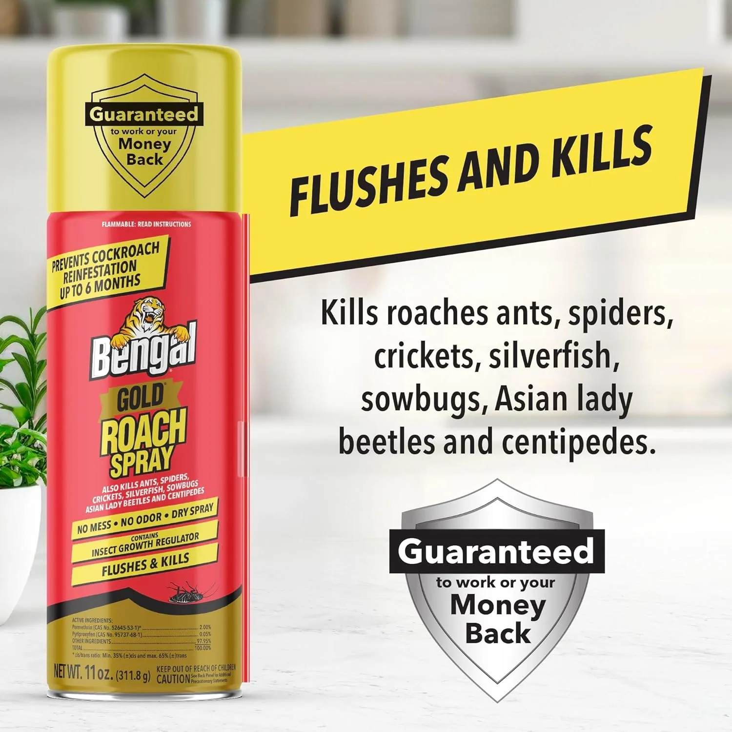 Bengal Gold Roach Spray - Odorless, Stain-Free Bug Spray for Home - Prevents Reinfestation for Up to 6 Months - 11 oz​, 2 Pack
