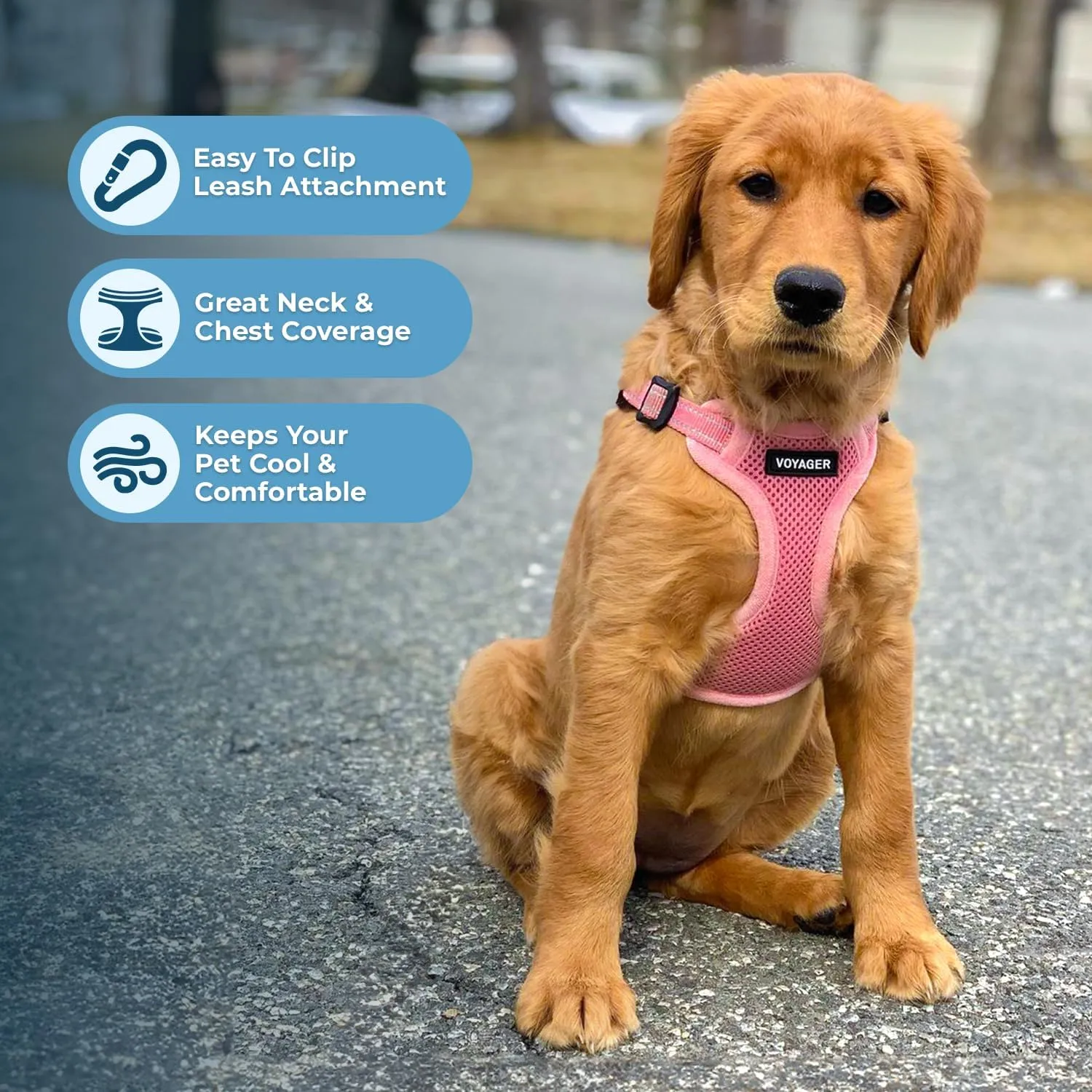 Best Pet Supplies Voyager Adjustable Dog Vest Harness Breathable No Pull Harness for Small, Medium, Large Dogs, Harness for Walking, Jogging, Easy Step-in, Reflective Stripes - Pink, XL