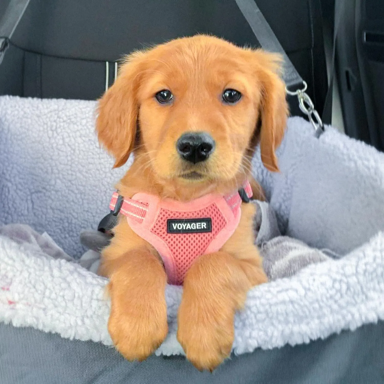 Best Pet Supplies Voyager Adjustable Dog Vest Harness Breathable No Pull Harness for Small, Medium, Large Dogs, Harness for Walking, Jogging, Easy Step-in, Reflective Stripes - Pink, XL