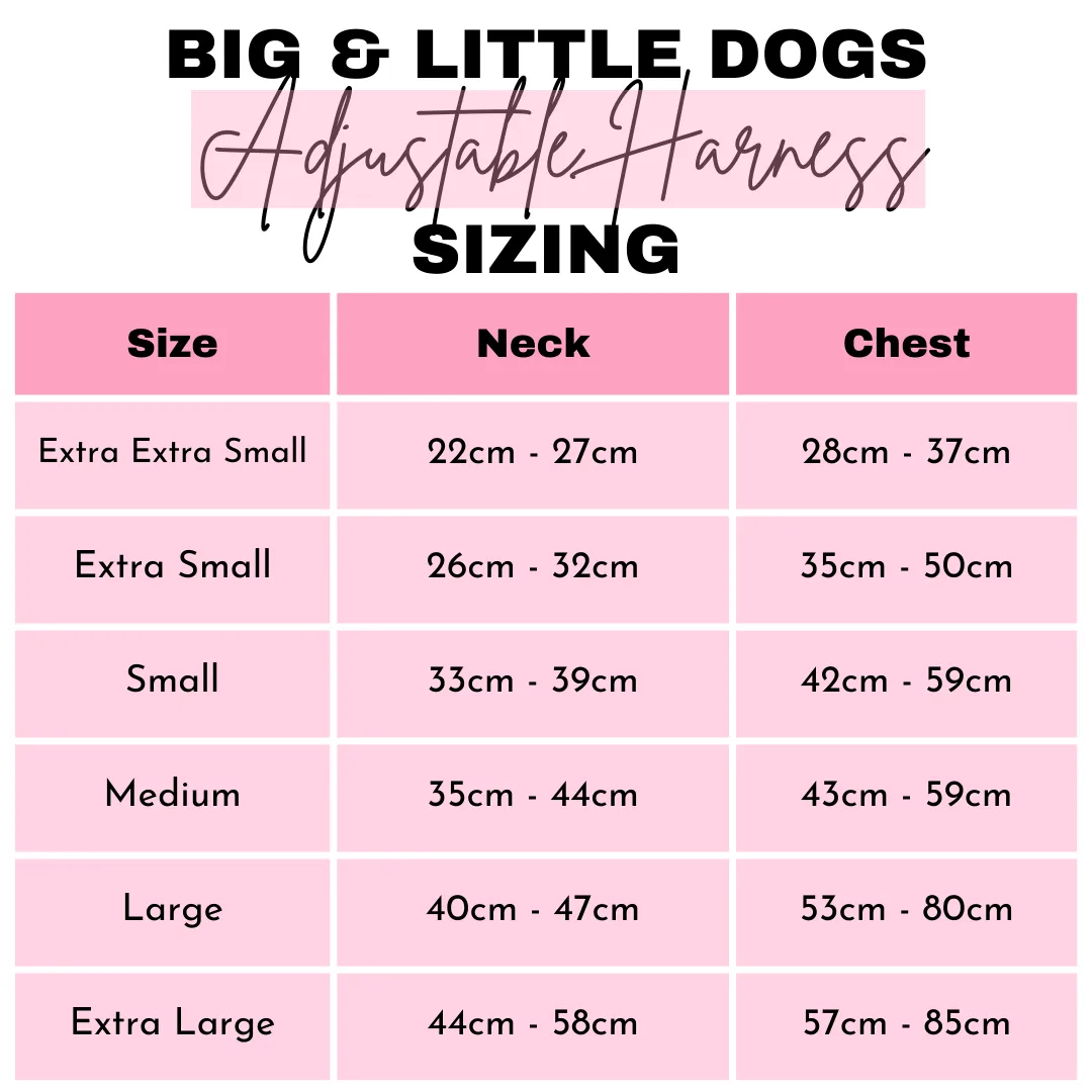 Big And little Dogs-ADJUSTABLE DOG HARNESS: Dashie Lovers