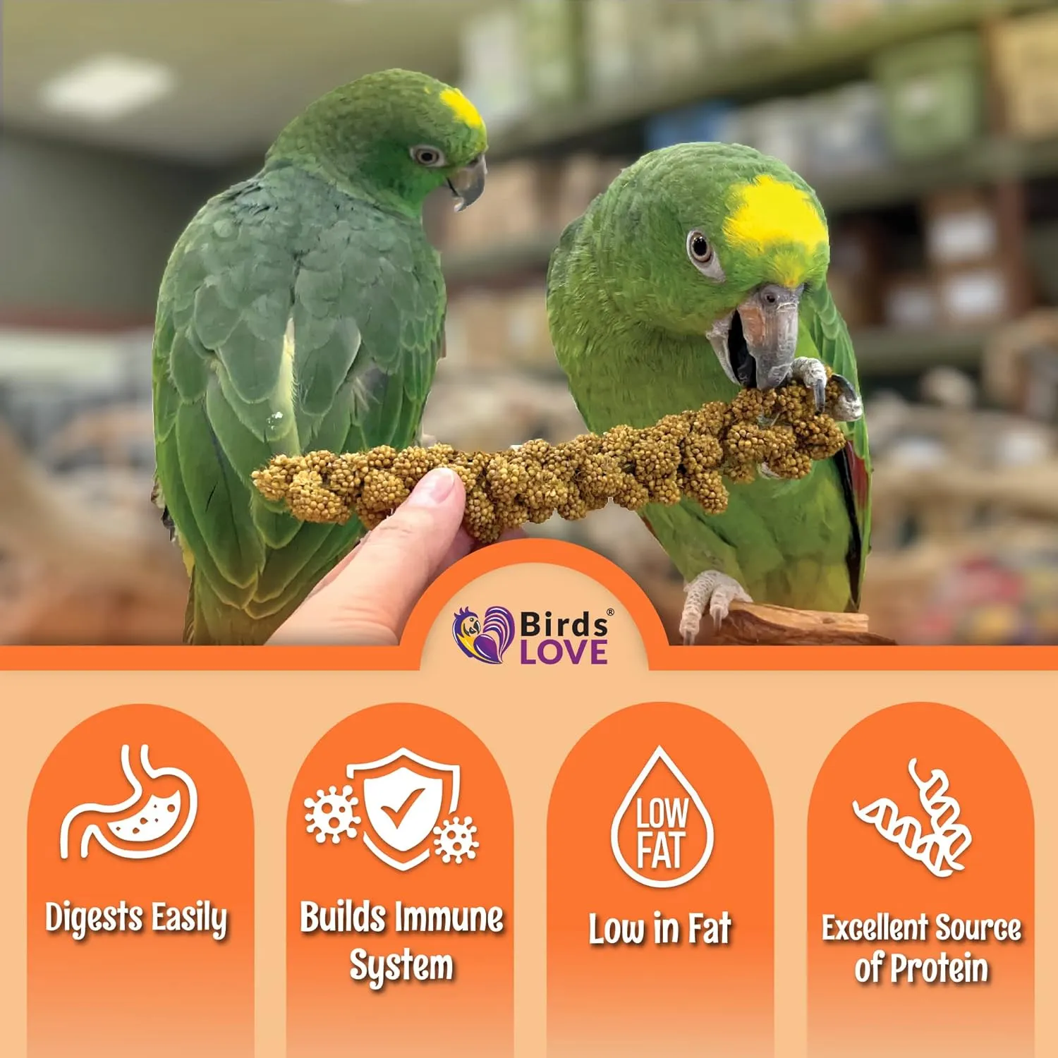 Birds LOVE Wholesome & Lovely Spray Millet - GMO Free (No Stems Only Edible Tops) for Parrots Cockatiel Lovebird Parakeet Finch Canary - Healthy Bird Treat - 1lb