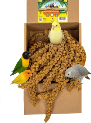 Birds LOVE Wholesome & Lovely Spray Millet - GMO Free (No Stems Only Edible Tops) for Parrots Cockatiel Lovebird Parakeet Finch Canary - Healthy Bird Treat - 1lb