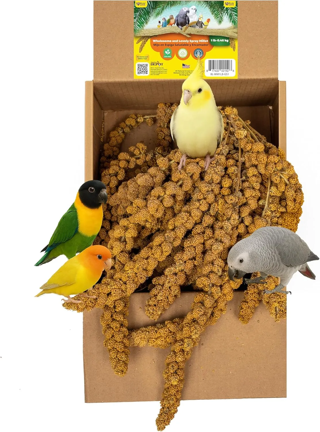 Birds LOVE Wholesome & Lovely Spray Millet - GMO Free (No Stems Only Edible Tops) for Parrots Cockatiel Lovebird Parakeet Finch Canary - Healthy Bird Treat - 1lb