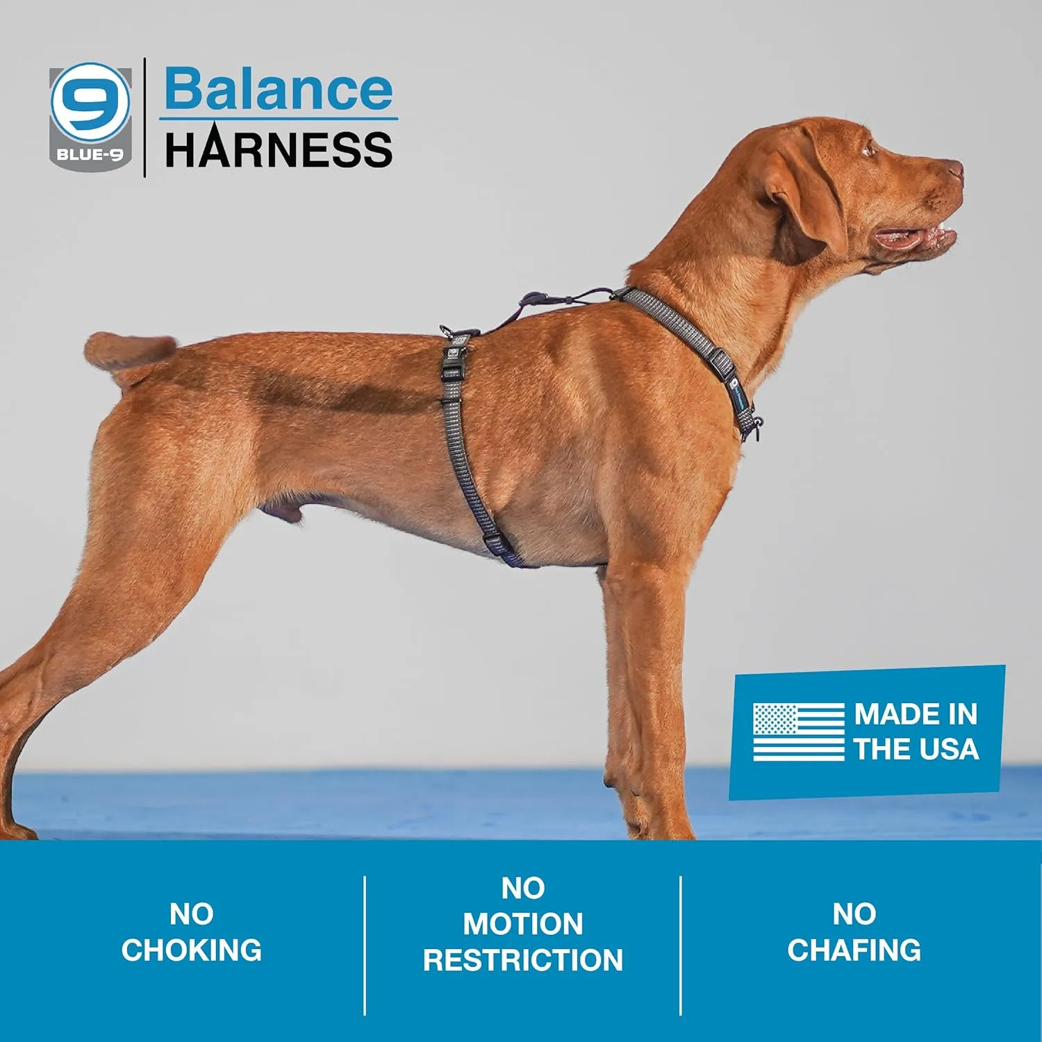 Blue-9 Reflective Buckle-Neck Balance Harness, Fully Customizable Fit No-Pull Harness with 3M Reflective Stitching, Ideal for Dog Training and Obedience, Made in The USA, Grey, Medium
