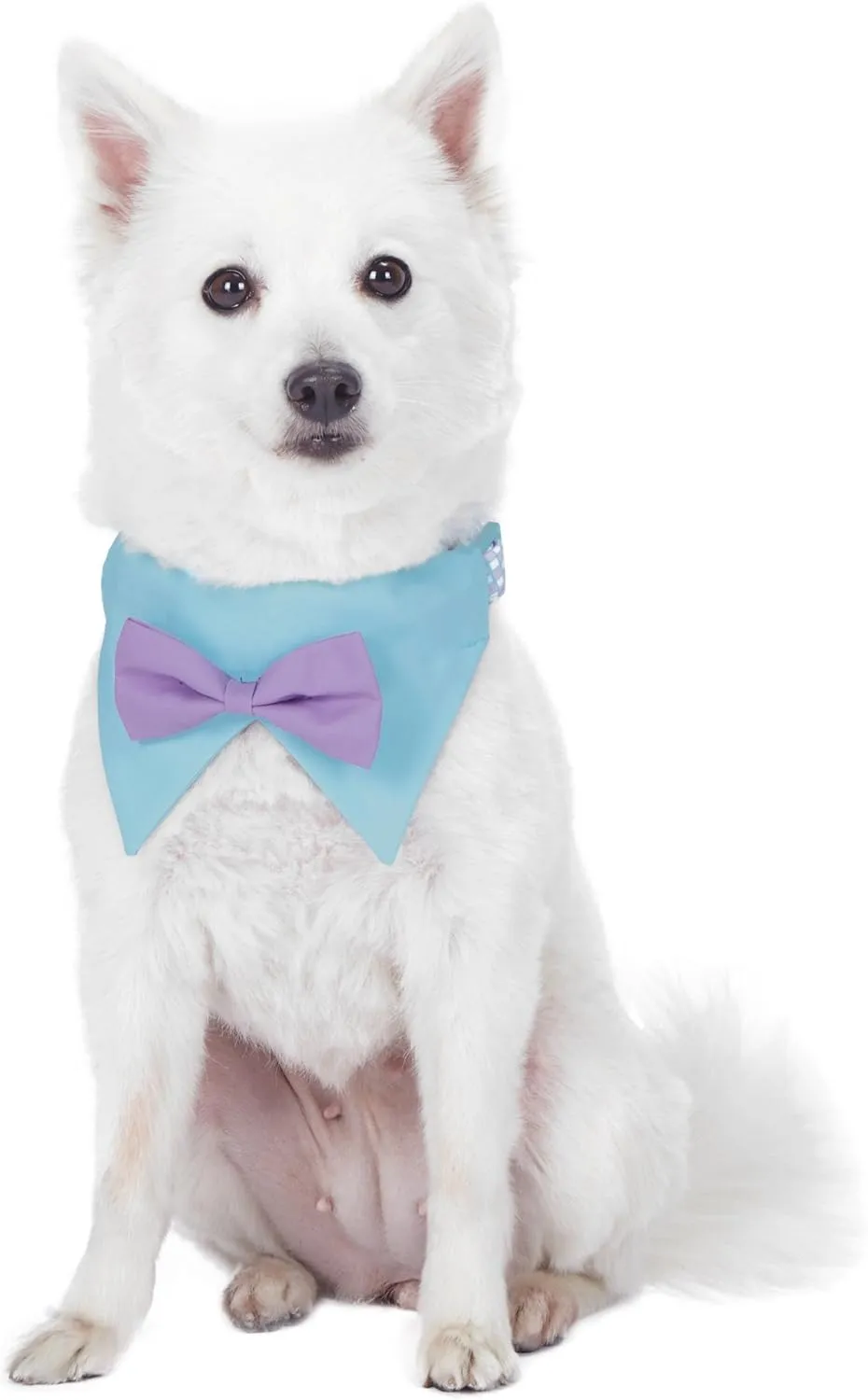 Blueberry Pet 5 Patterns Sophisticated Pastel Blue Checker Adjustable Dog Bandana Collar with Bow Tie, Small, Neck 12"-16"