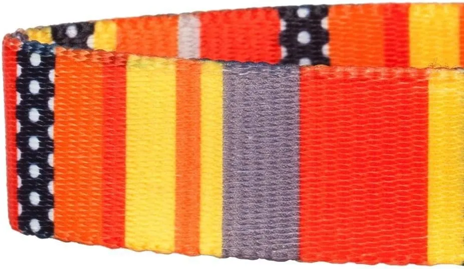 Blueberry Pet Essentials Personalized Dog Collar, Nautical Flags Design, Medium, Adjustable Customized ID Collars for Medium Dogs Embroidered with Pet Name & Phone Number