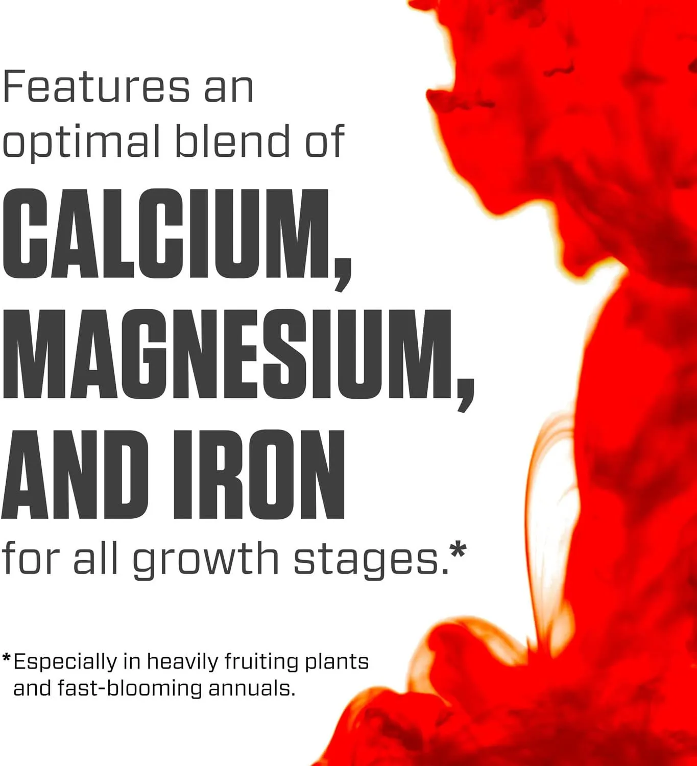 Botanicare Cal-Mag Plus, A Calcium, Magnesium, And Iron Plant Supplement, Corrects Common Plant Deficiencies, Add To Water Or Use As A Spray, 2-0-0 NPK, Quart