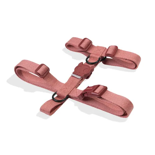 Canyon H-Harness