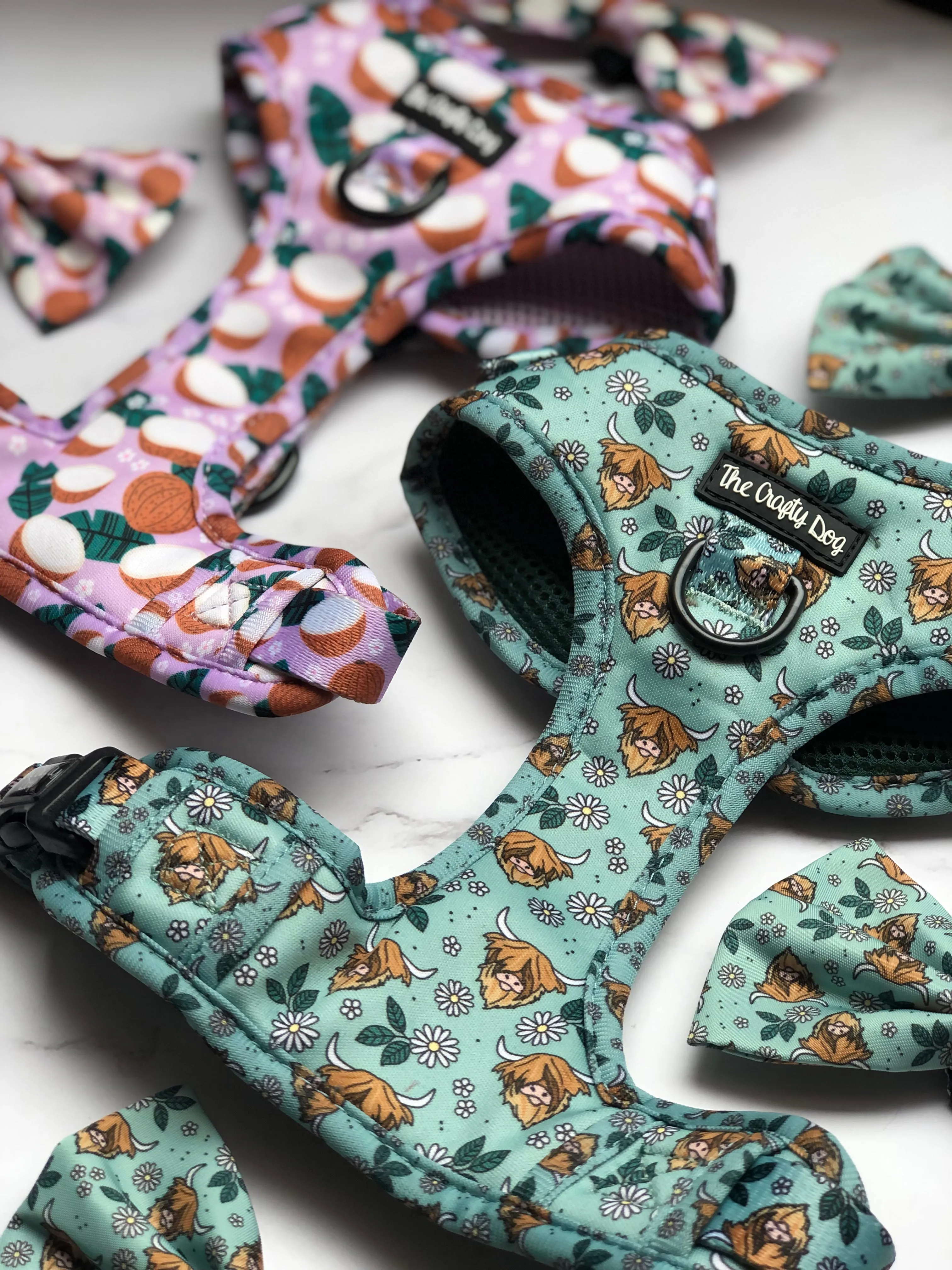 Coconutty Harness