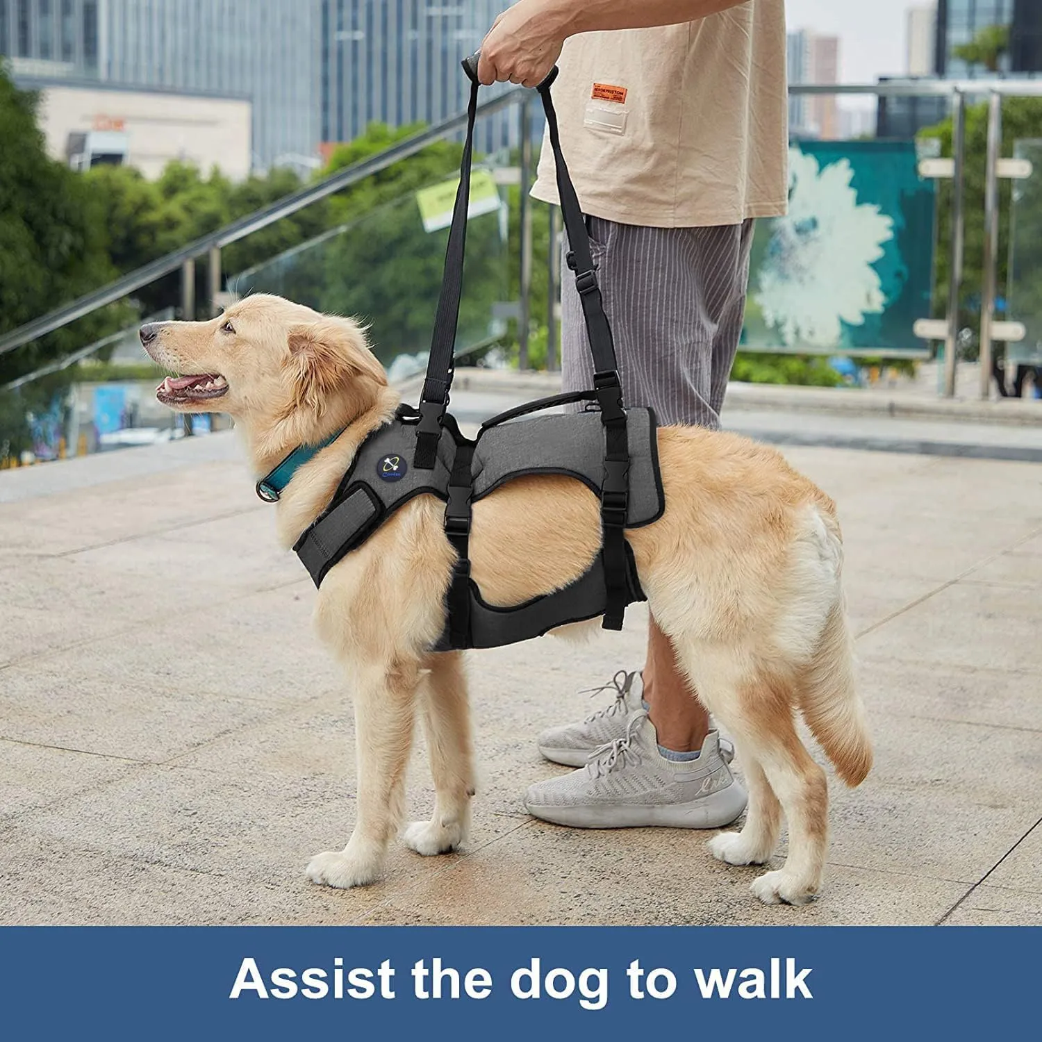 Coodeo Dog Lift Harness, Support & Recovery Sling, Pet Rehabilitation Lifts Vest Adjustable Breathable Straps for Old, Disabled, Joint Injuries, Arthritis, Paralysis Dogs Walk (M)