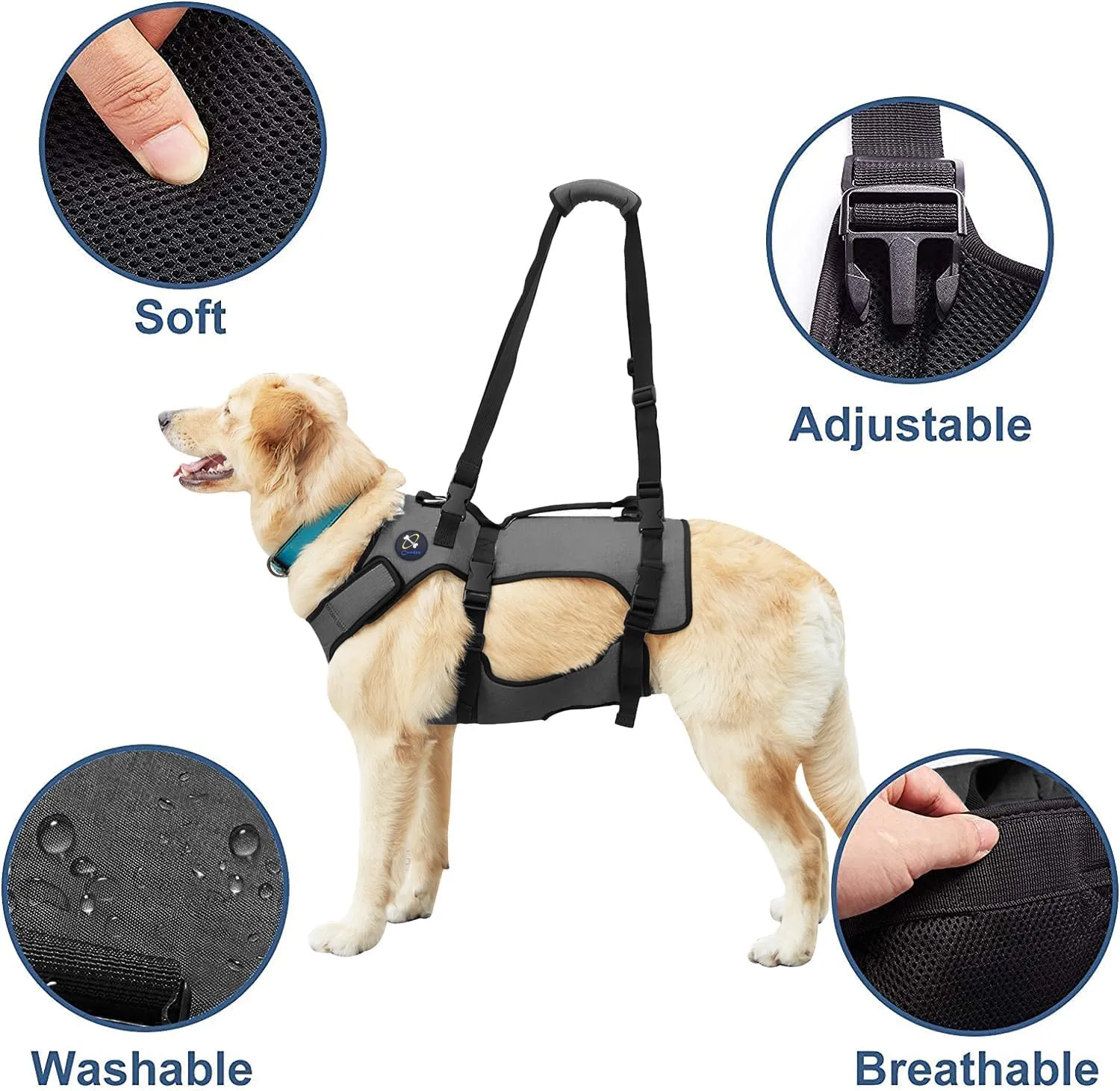 Coodeo Dog Lift Harness, Support & Recovery Sling, Pet Rehabilitation Lifts Vest Adjustable Breathable Straps for Old, Disabled, Joint Injuries, Arthritis, Paralysis Dogs Walk (M)