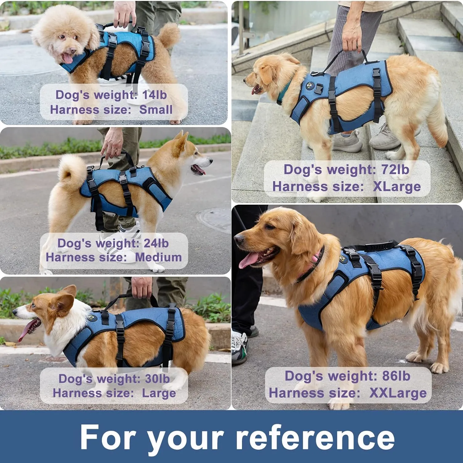 Coodeo Dog Lift Harness, Support & Recovery Sling, Pet Rehabilitation Lifts Vest Adjustable Breathable Straps for Old, Disabled, Joint Injuries, Arthritis, Paralysis Dogs Walk (M)