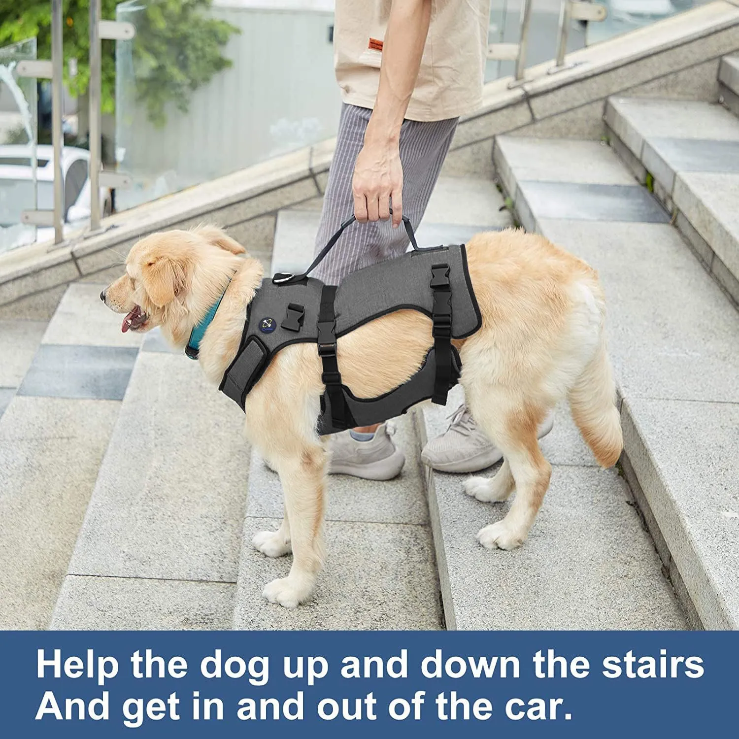 Coodeo Dog Lift Harness, Support & Recovery Sling, Pet Rehabilitation Lifts Vest Adjustable Breathable Straps for Old, Disabled, Joint Injuries, Arthritis, Paralysis Dogs Walk (M)
