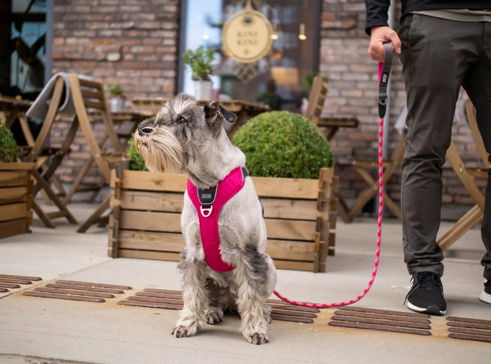 Copenhagen Comfort Walk Air Dog Harness- Green
