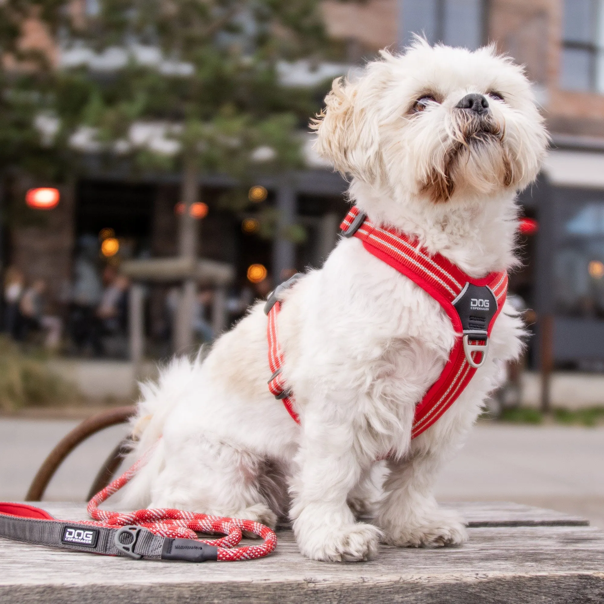 Copenhagen Comfort Walk Air Dog Harness- Green