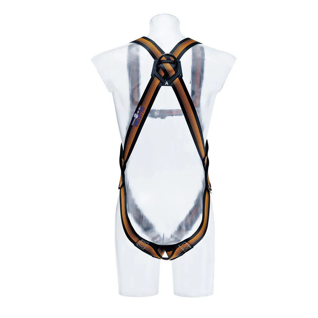 CS 2 Harness