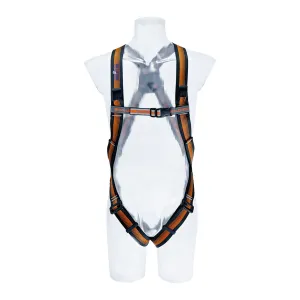 CS 2 Harness