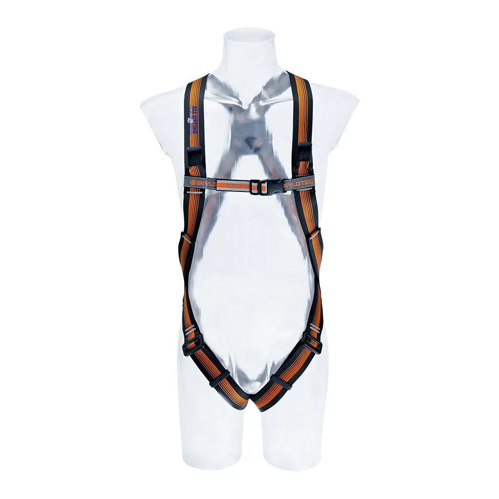 CS 2 Harness