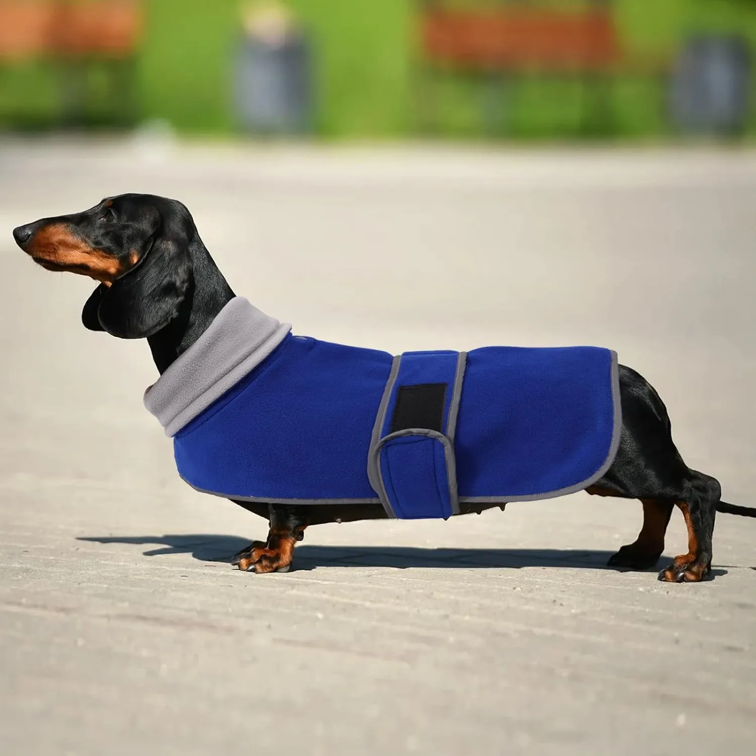 Dachshund Coats Sausage Dog Fleece Coat in Winter Miniature Dachshund Clothes with Hook and Loop Closure and high vis Reflective Trim Safety - Blue - S