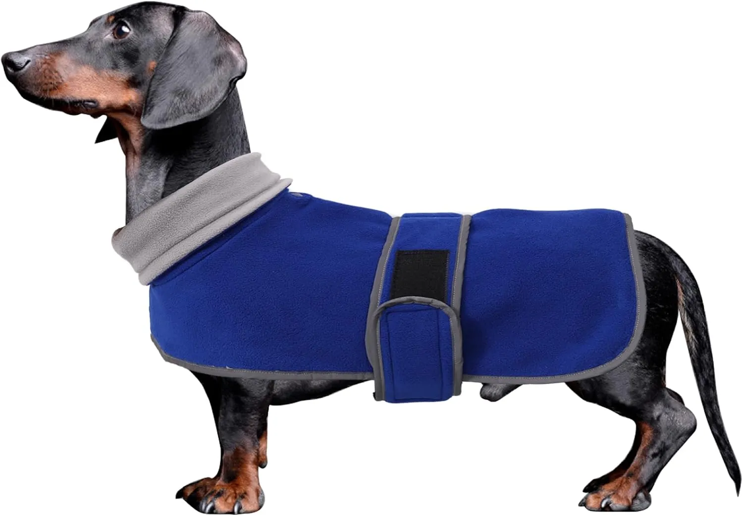 Dachshund Coats Sausage Dog Fleece Coat in Winter Miniature Dachshund Clothes with Hook and Loop Closure and high vis Reflective Trim Safety - Blue - S