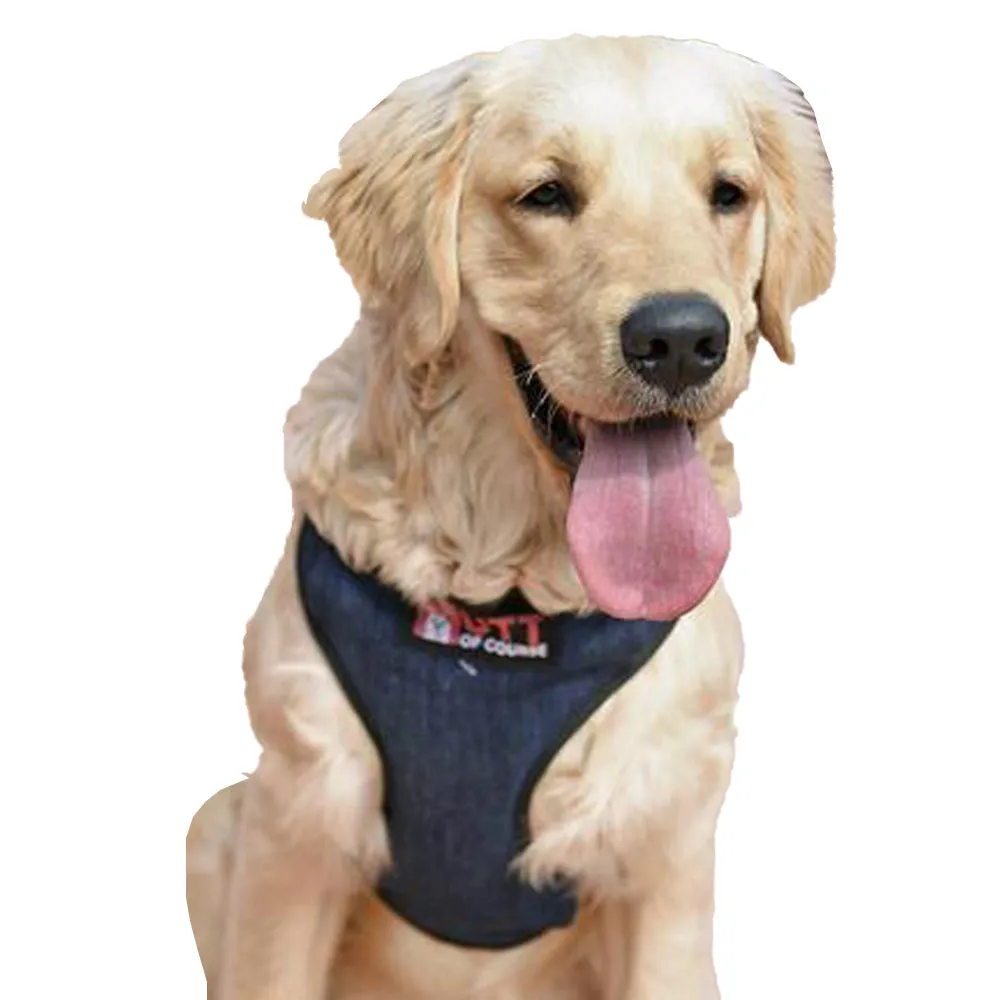 Dark Blue Denim Vest Harness
