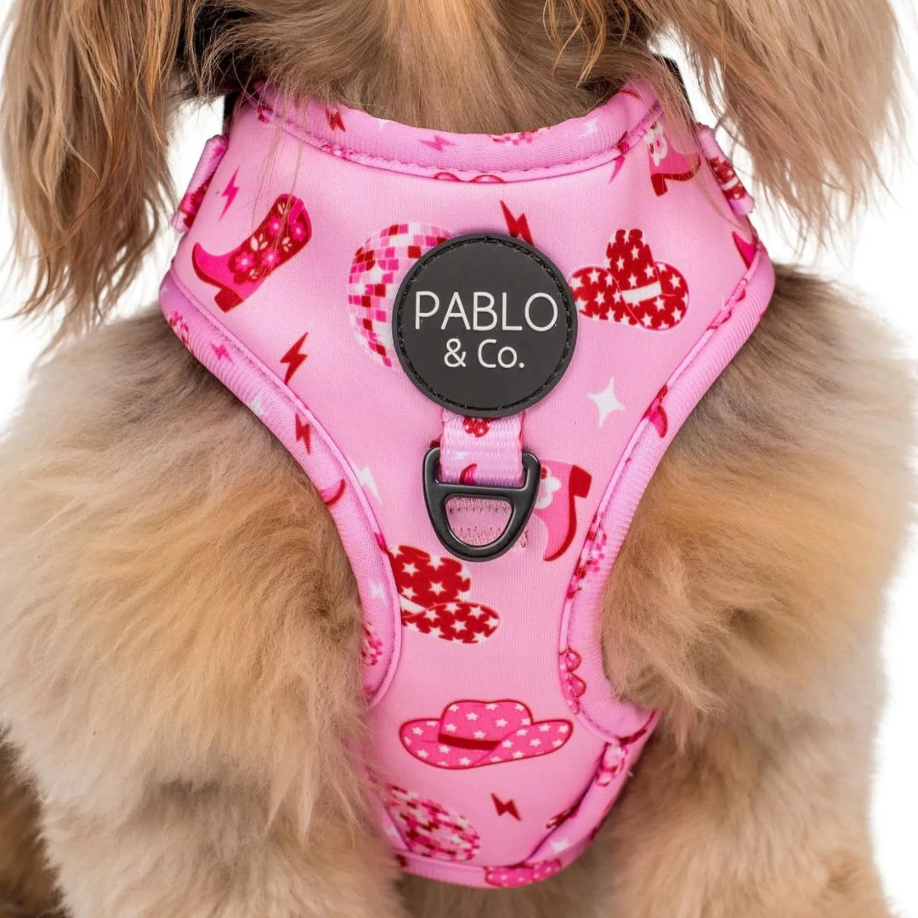 Disco Cowgirl Adjustable Dog Harness