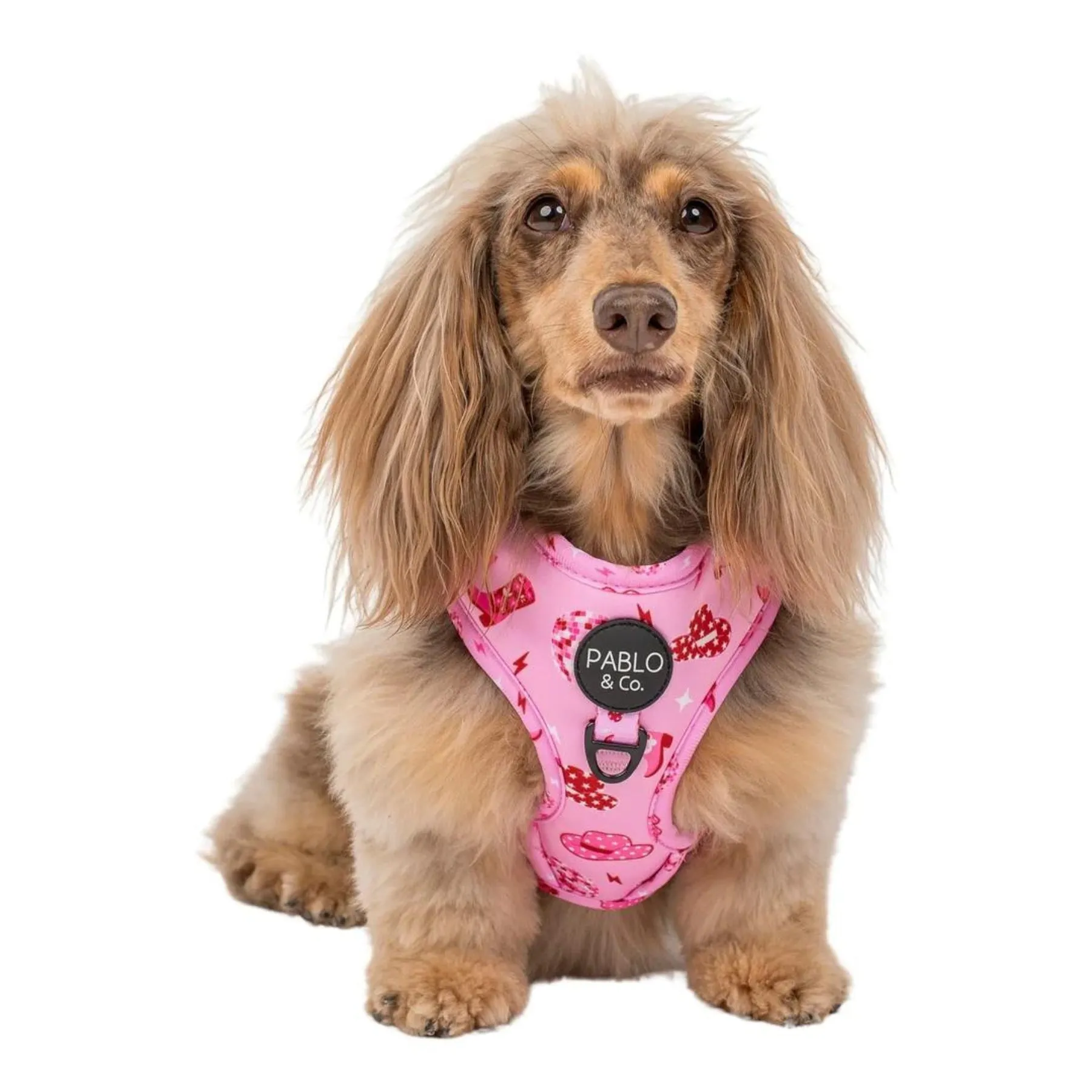 Disco Cowgirl Adjustable Dog Harness